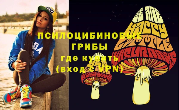 тгк Аркадак